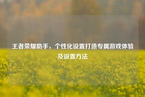 王者荣耀助手,个性化设置打造专属游戏体验及设置