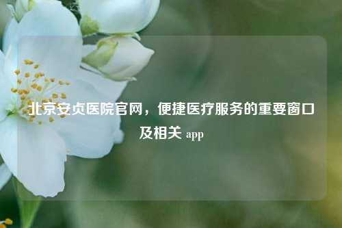 北京安贞医院官网，便捷医疗服务的重要窗口及相关 app