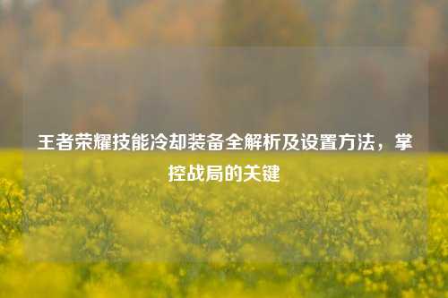 王者荣耀技能冷却装备全解析及设置     ，掌控战局的关键