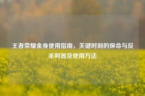 王者荣耀金身使用指南,关键时刻的保命与反杀利器及使用