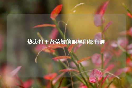 热衷打王者荣耀的明星们都有谁