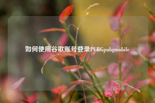 如何使用谷歌账号登录PUBGpubgmobile