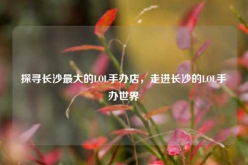 探寻长沙更大的LOL手办店,走进长沙的LOL手办世界