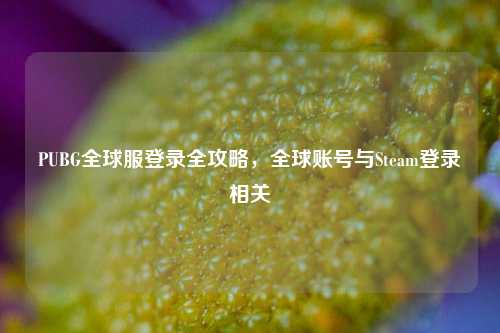 PUBG全球服登录全攻略，全球账号与Steam登录相关