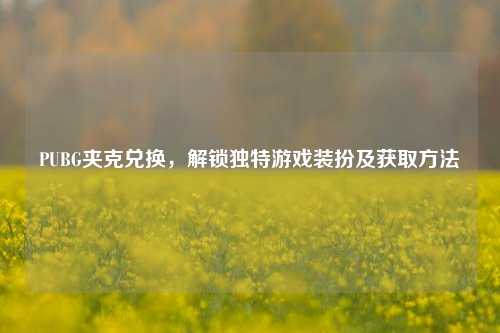 PUBG夹克兑换,解锁独特游戏装扮及获取