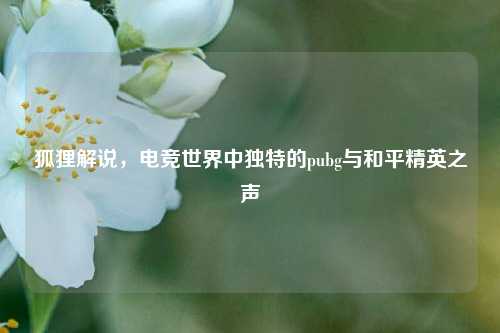 狐狸解说,电竞世界中独特的pubg与和平精英之声