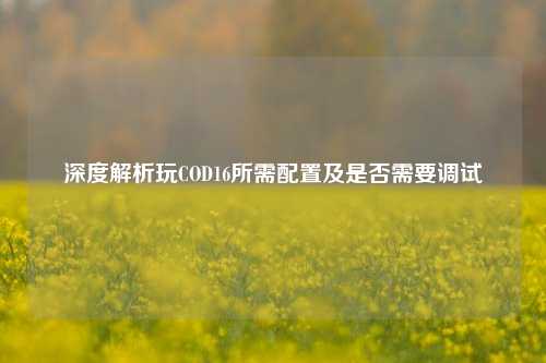 深度解析玩COD16所需配置及是否需要调试