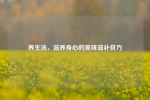 养生汤,滋养身心的美味滋补良方