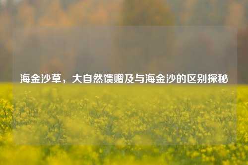海金沙草,大自然馈赠及与海金沙的区别探秘