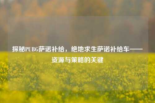探秘PUBG萨诺补给,绝地求生萨诺补给车——资源与策略的关键