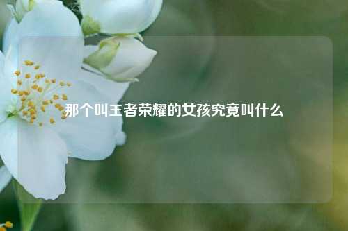 那个叫王者荣耀的女孩究竟叫什么