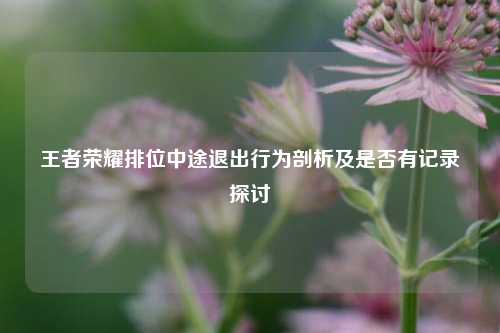 王者荣耀排位中途退出行为剖析及是否有记录探讨