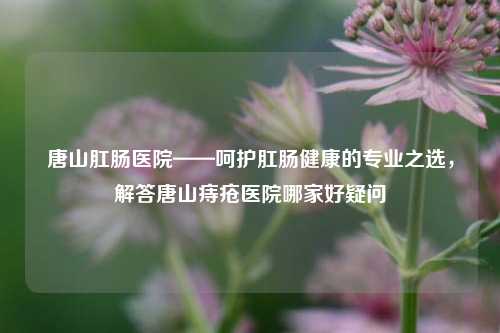 唐山肛肠医院——呵护肛肠健康的专业之选,解答唐山痔疮医院哪家好疑问