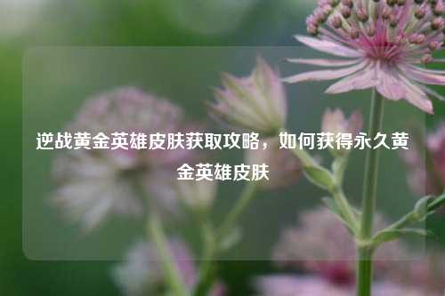 逆战黄金英雄皮肤获取攻略,如何获得永久黄金英雄皮肤