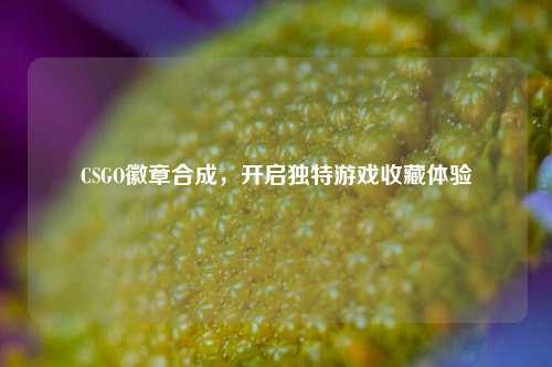 CSGO徽章合成,开启独特游戏收藏体验