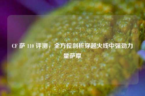 CF 萨 110 评测,全方位剖析穿越火线中强劲力量萨摩