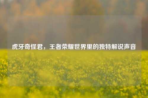 虎牙奇怪君,王者荣耀世界里的独特解说声音