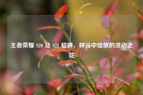 王者荣耀 S20 及 S21 貂蝉,峡谷中绽放的灵动之花