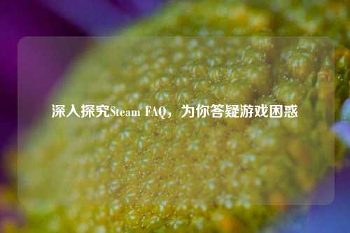 深入探究Steam FAQ,为你答疑游戏困惑