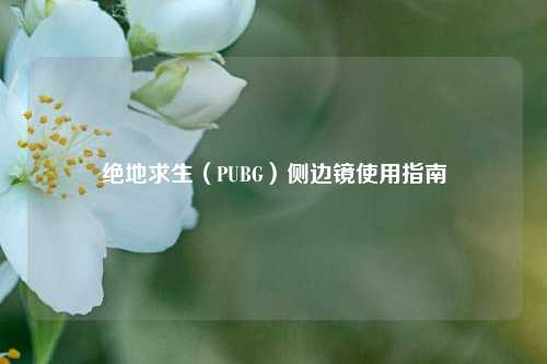 绝地求生(PUBG)侧边镜使用指南
