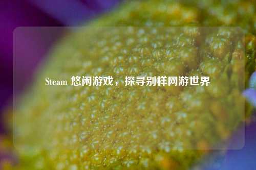 Steam 悠闲游戏,探寻别样网游世界