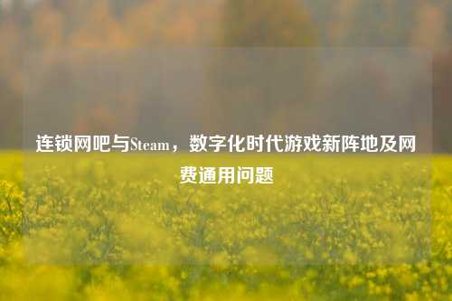 连锁网吧与Steam,数字化时代游戏新阵地及网费通用问题