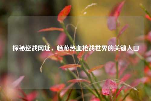 探秘逆战网址,畅游热血枪战世界的关键入口