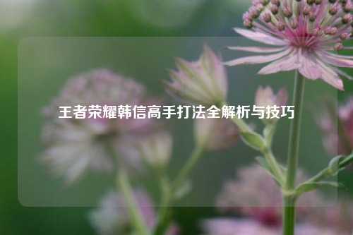 王者荣耀韩信高手打法全解析与技巧
