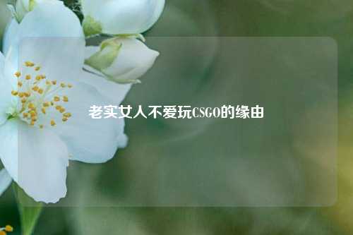老实女人不爱玩CSGO的缘由