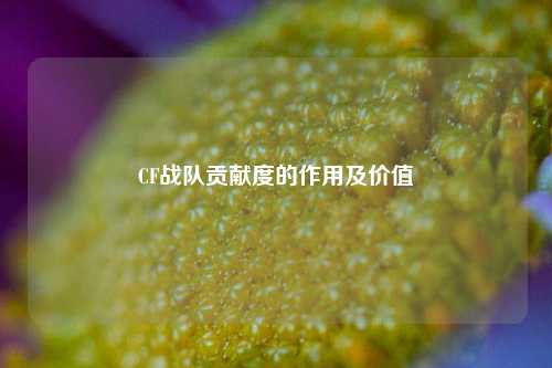 CF战队贡献度的作用及价值