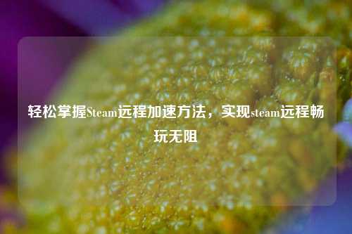 轻松掌握Steam远程加速 ,实现steam远程畅玩无阻