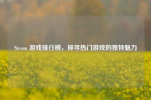 Steam 游戏排行榜,探寻热门游戏的独特魅力