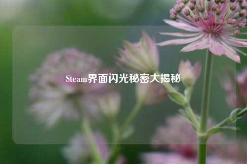 Steam界面闪光秘密大揭秘
