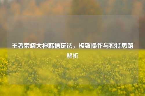 王者荣耀大神韩信玩法,极致操作与独特思路解析
