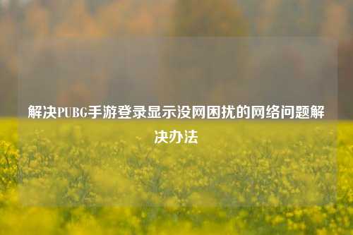 解决PUBG手游登录显示没网困扰的 问题解决办法