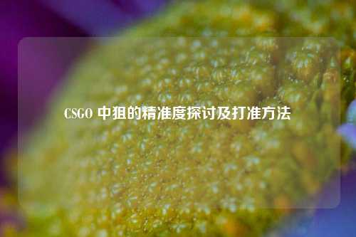 CSGO 中狙的精准度探讨及打准