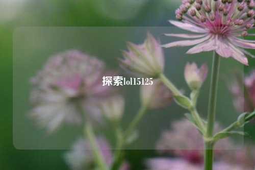 探索lol15125