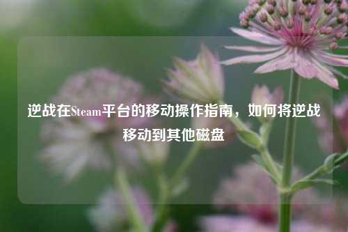 逆战在Steam平台的移动操作指南,如何将逆战移动到其他磁盘