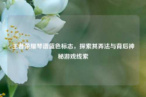 王者荣耀琴谱蓝色标志,探索其弄法与背后神秘游戏线索