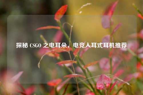 探秘 CSGO 之电耳朵,电竞入耳式耳机推荐