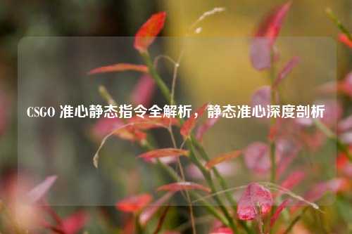 CSGO 准心静态指令全解析,静态准心深度剖析