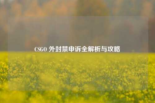 CSGO 外封禁申诉全解析与攻略