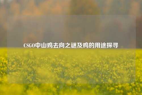 CSGO中山鸡去向之谜及鸡的用途探寻