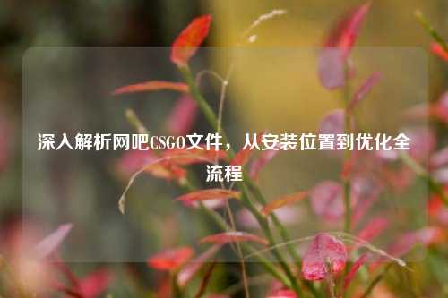 深入解析网吧CSGO文件,从安装位置到优化全流程