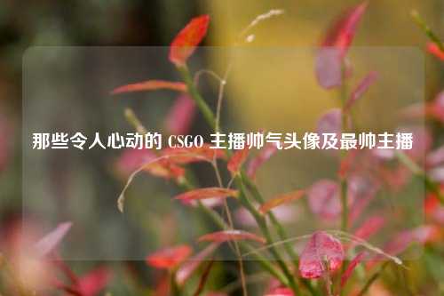 那些令人心动的 CSGO 主播帅气头像及最帅主播
