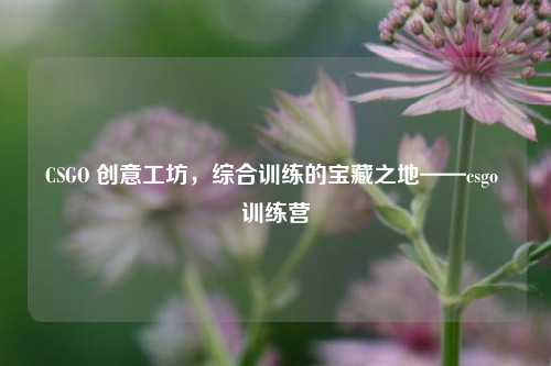 CSGO 创意工坊,综合训练的宝藏之地——csgo 训练营