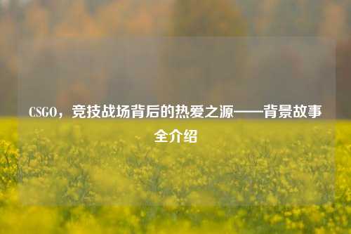 CSGO,竞技战场背后的热爱之源——背景故事全介绍
