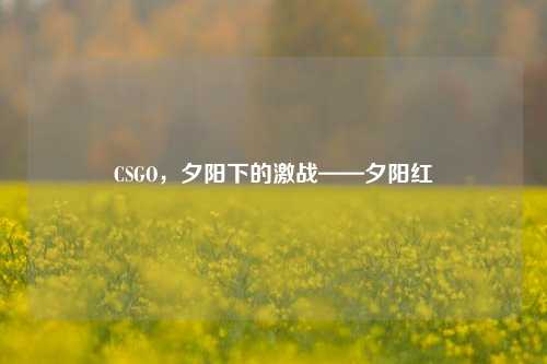 CSGO,夕阳下的激战——夕阳红