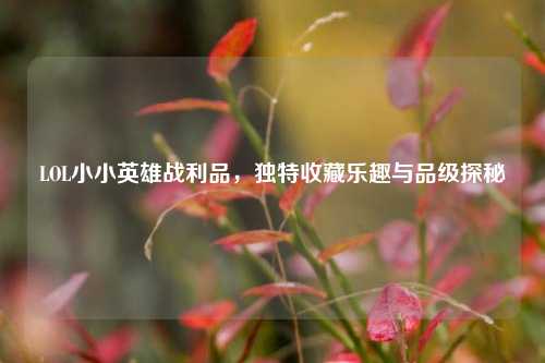 LOL小小英雄战利品,独特收藏乐趣与品级探秘