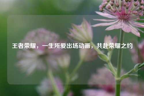 王者荣耀,一生所爱出场动画,共赴荣耀之约